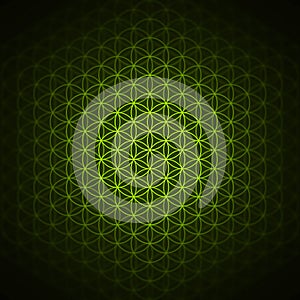 Genesis pattern - the flower of life green