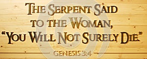 Genesis 3:4