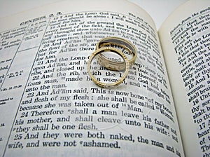 Genesis Wedding Vow and Rings photo