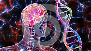Genetic brain disorders, conceptual 3D illustration. Mutations in the DNA leading to brain diseases. Neurodegenerative