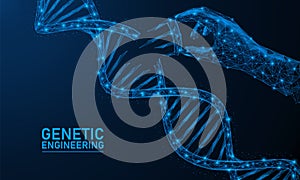 Genetic engineering of DNA.