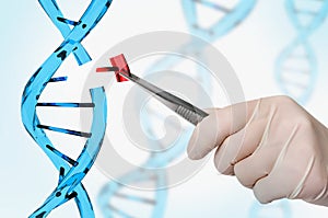 Genetic engineering and gene manipulation concept