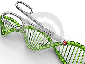 Genetic engineering and gene manipulation concept