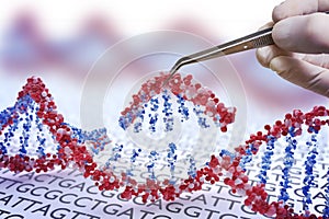 Genetic engineering, GMO and Gene manipulation concept. Hand is inserting sequence of DNA. 3D illustration of DNA photo