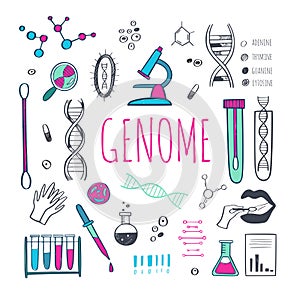 Genetic engineering and medical research vector background. DNA helix, genome testing elements. Chemical laboratory