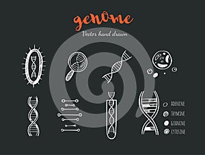 Genetic engineering and medical research vector background. DNA helix, genome testing elements. Chemical laboratory
