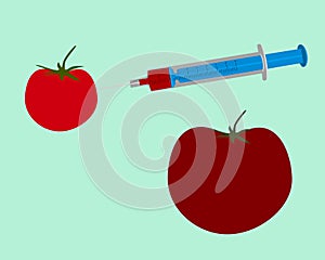 Genetic engineering of a tomato