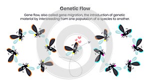 Genetic Flow scientific vector illustration graphic