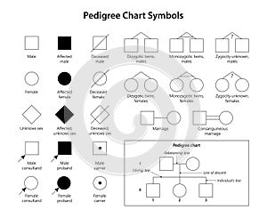 Genetic Genealogy. Pedigree Chart Symbols.