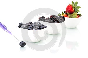 Genetic Modification, blueberry, blackberry, strawberry, fruit,