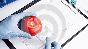 Genetic modification GMO. Scientist injecting liquid from syringe into red tomato. Genetically modified food.