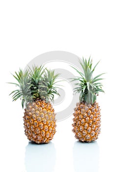 Genetic Modification, pineapple, fruit, modification, strange, s