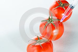 Genetic modification red tomato laboratory glassware on white