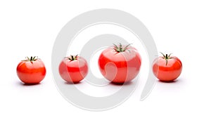Genetic modification on Tomatoes