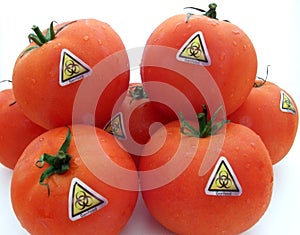 Genetic modification tomatoes