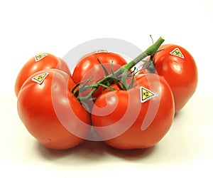 Genetic modified tomatoes