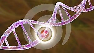 Genetic mutation, conceptual 3D illustration. Double stranded DNA molecule with mutation in a gene