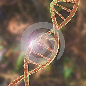 Genetic mutation, conceptual 3D illustration. Double stranded DNA molecule with mutation in a gene photo