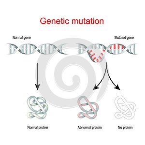 Genetic mutation. Normal gene and Mutated DNA