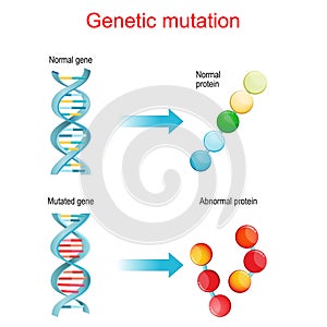 Genetic mutation. Normal and mutated genes that synthesis normal and Abnormal proteins photo