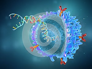 Genetically engineered chimeric antigen receptor immune cell with implanted gene strand photo