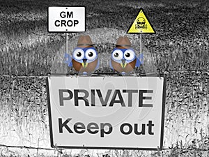 Genetically modified crop
