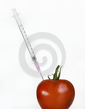 Genetically modified food concept image