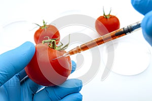 Genetically modified foods or GMO food, genetic improvement of produce and dna manipulation conceptual idea with medical