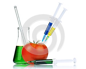 Genetically modified organism