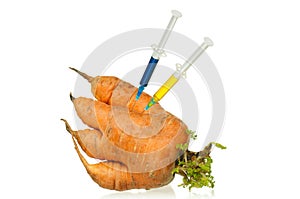 Genetically modified organism