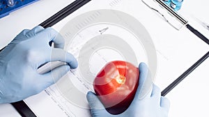 Genetically modified organism. GMO scientist injecting liquid from syringe into red tomato. Gmo food biotechnology