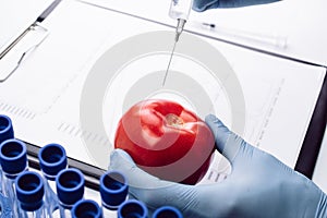 Genetically modified organism. GMO scientist injecting liquid from syringe into red tomato. Gmo food biotechnology