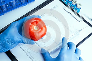 Genetically modified organism. GMO scientist injecting liquid from syringe into red tomato. Gmo food biotechnology