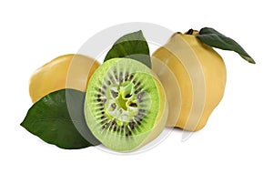 Genetically modified quinces with kiwi on white background