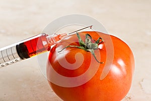 Genetically modified tomato, gmo