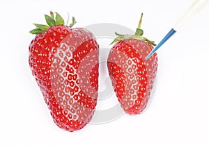Genetically modifying strawberries
