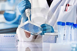 Researcher working with samples of tissue culture in microplate in the genetics laboratory