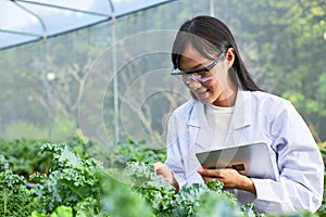 Geneticists, biologists, and scientists are developing plant species photo