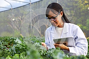 Geneticists, biologists, and scientists are studying the genetic structure of vegetables in a greenhouse photo
