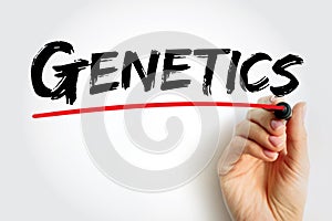 Genetics is a branch of biology concerned with the study of genes, genetic variation, and heredity in organisms, text concept