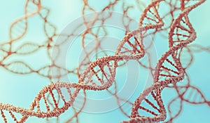 Genetics concept. 3D rendered illustration of DNA molecules in chromosomes