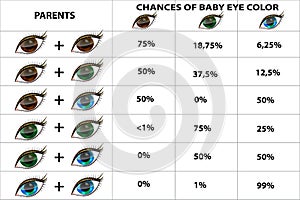 The genetics of eye color.