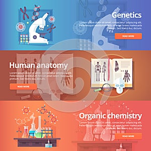 Genetics. Human genome. Human anatomy.