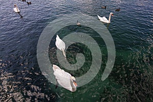 Geneva fountain, Jet d\'Eau. Switzerland, Lake Geneva.