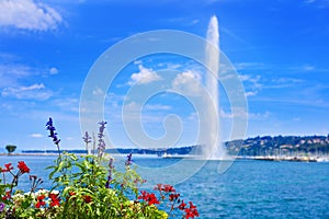 Geneva Geneve lake water Jet D`eau Switzerland