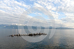Geneva Lake, Lausanne, Switzerland
