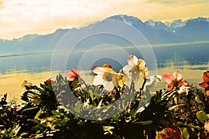 Geneva Lake and sunset, Montreaux, Switzerland, Europe