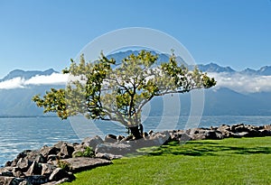 Geneve lake in Montreux