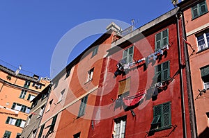 Genoa houses