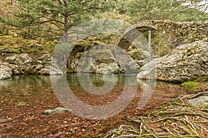 Genoese bridge over a river in Corsica